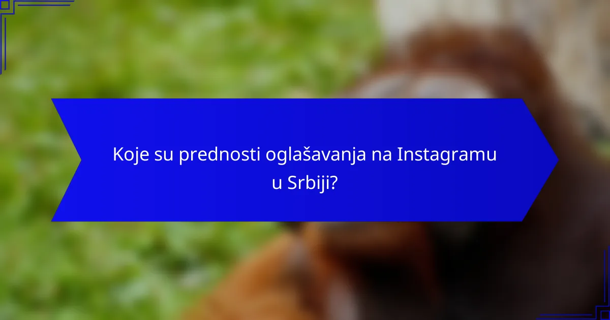Koje su prednosti oglašavanja na Instagramu u Srbiji?